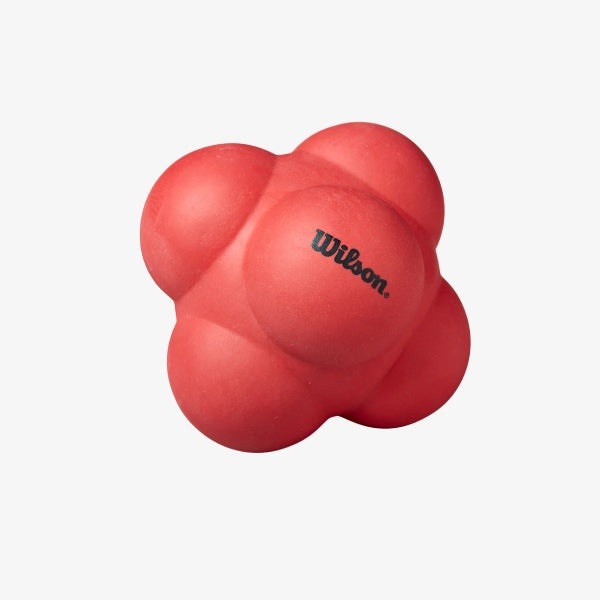 Wilson Large Reaction Ball WS