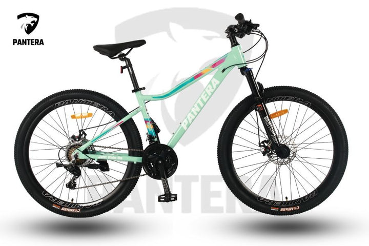 Pantera Rosa Adults Bicycle WS