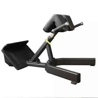 DHZ Hyper Extension Bench Evost Model E3062 WS