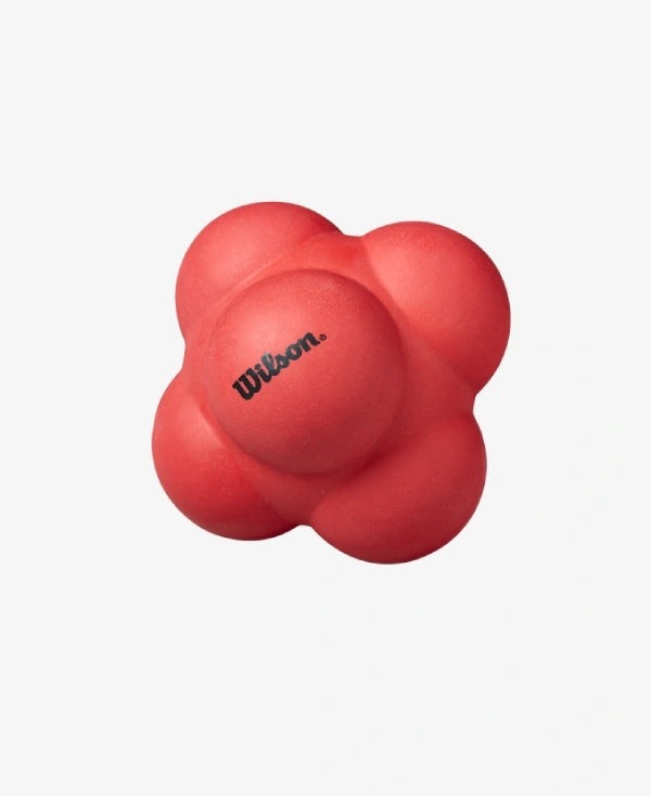 Wilson Large Reaction Ball WS