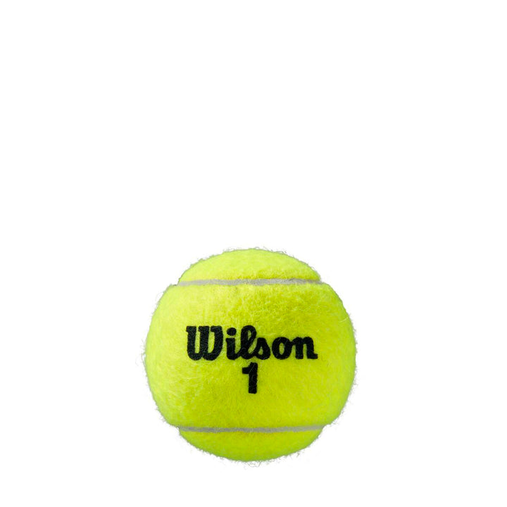 Wilson Roland Garros Tennis Balls Bottle WS