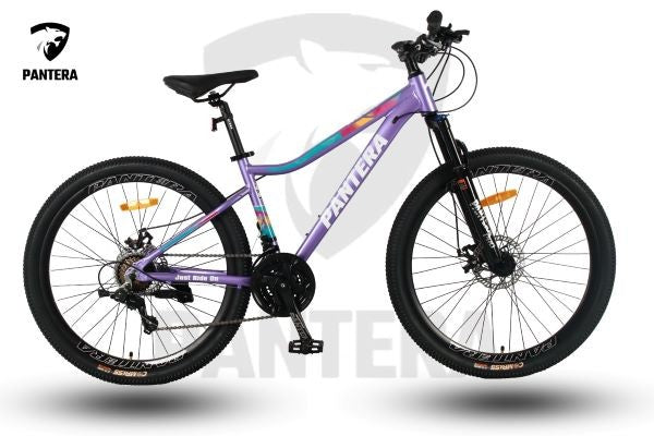 Pantera Rosa Adults Bicycle WS