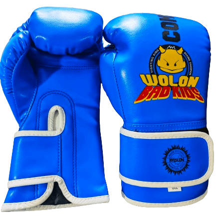 Wolon Combat Martial Arts Kids Boxing Gloves WS