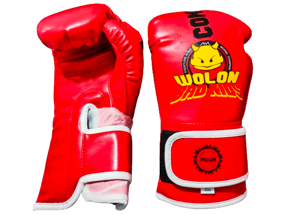 Wolon Combat Martial Arts Kids Boxing Gloves WS