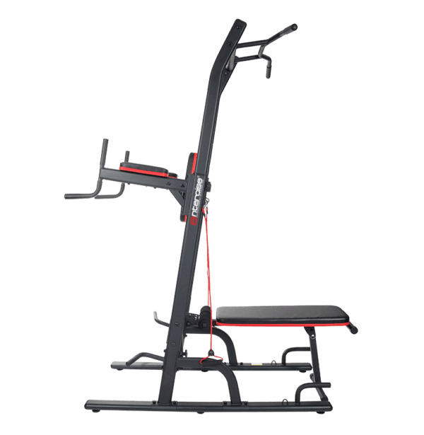 Entercise Gym Power Tower Dip Station WS